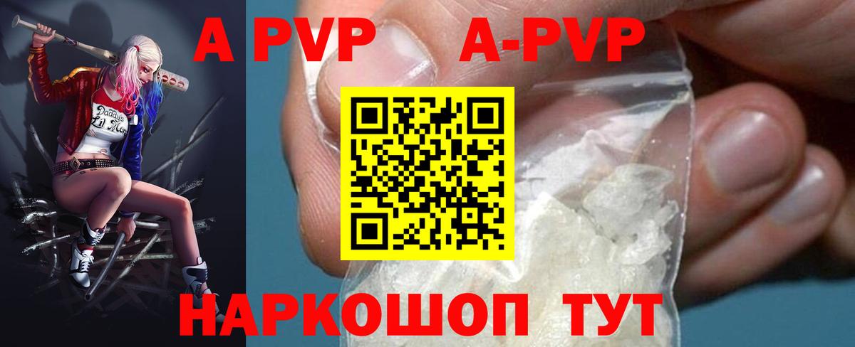 Альфа ПВП СК Губкин