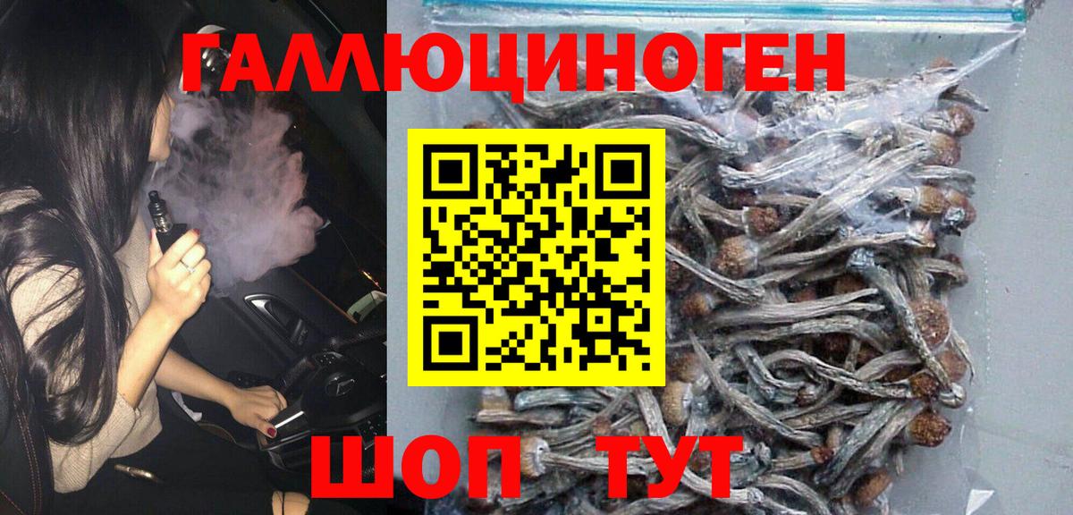 Губкин  Галлюциногенные грибы Psilocybe  Галлюциногенные грибы ЛСД  Вход с VPN 
